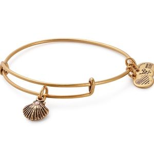 Alex n Ani shell bracelet